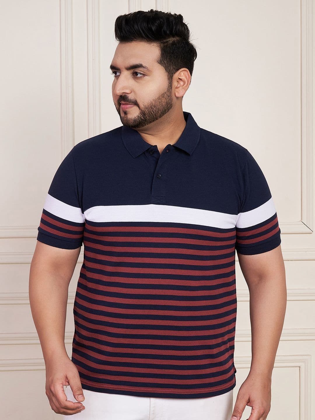 AUSTIVO  Striped Polo Collar Regular Sleeves Cotton Regular Fit Tshirt - view 1