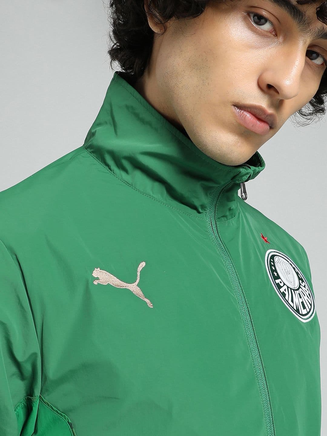 Puma Puma X KIDSUPER SE Palmeiras Men's Reversible Jacket thumbnail 2