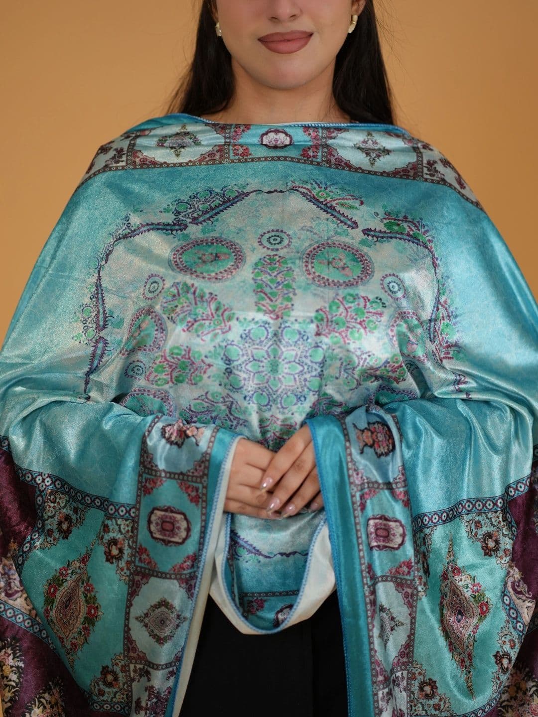 SHIFNEEN Women Ethnic Motifs Printed Velvet Shawl thumbnail 4