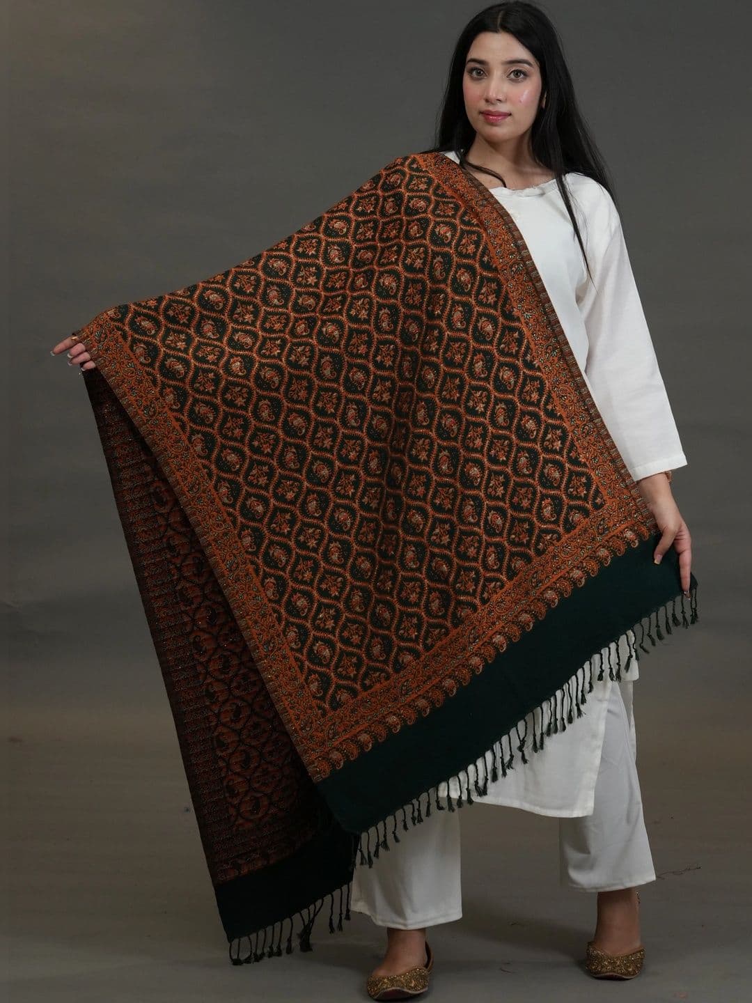 SHIFNEEN Women Ethnic Motifs Woven Design Acrylic Shawl - view 1