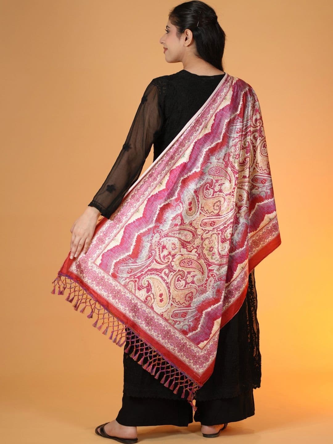 SHIFNEEN Women Paisley Printed Velvet Shawl thumbnail 4
