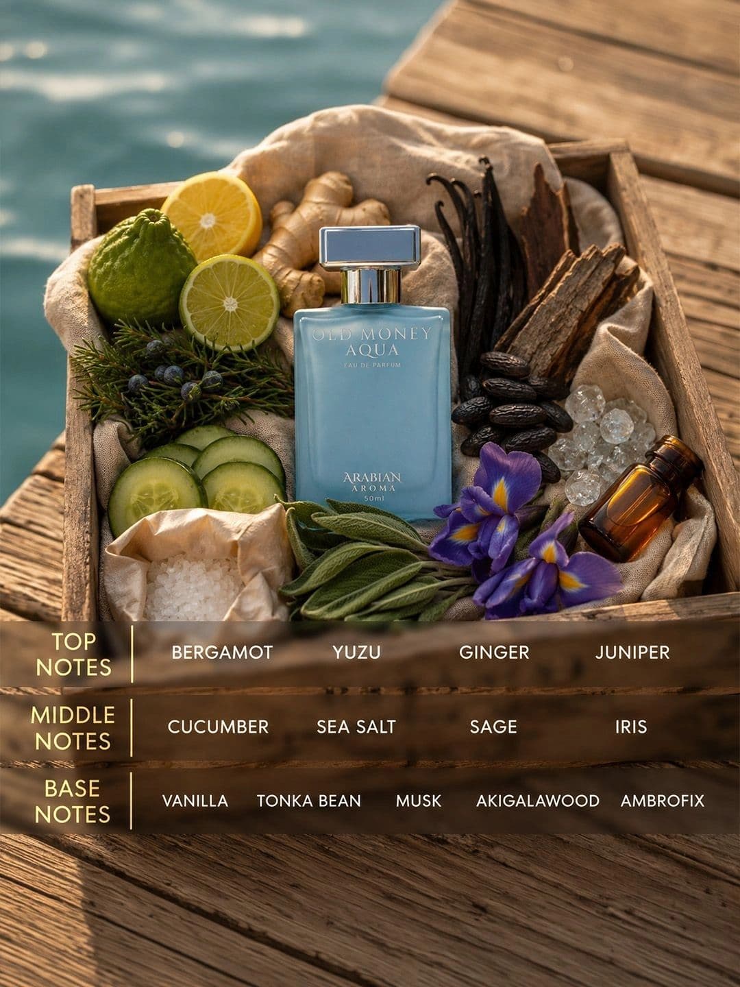 Arabian Aroma Old Money Aqua Perfume - 50 ml thumbnail 2