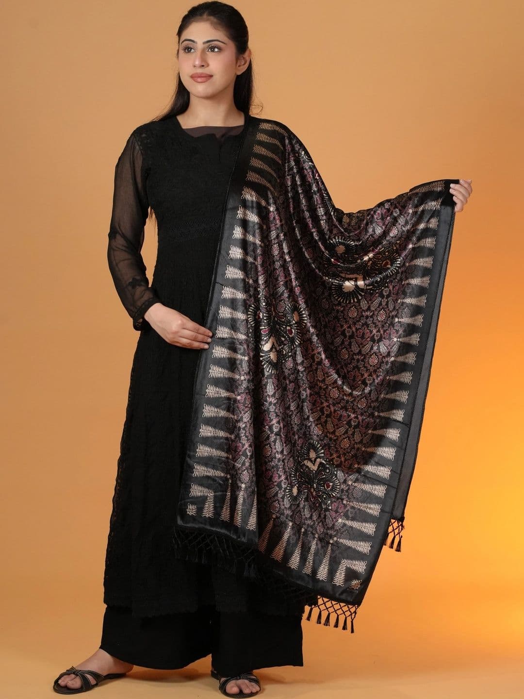 S.T. Women Ethnic Motifs Woven Design Velvet Shawl - view 1