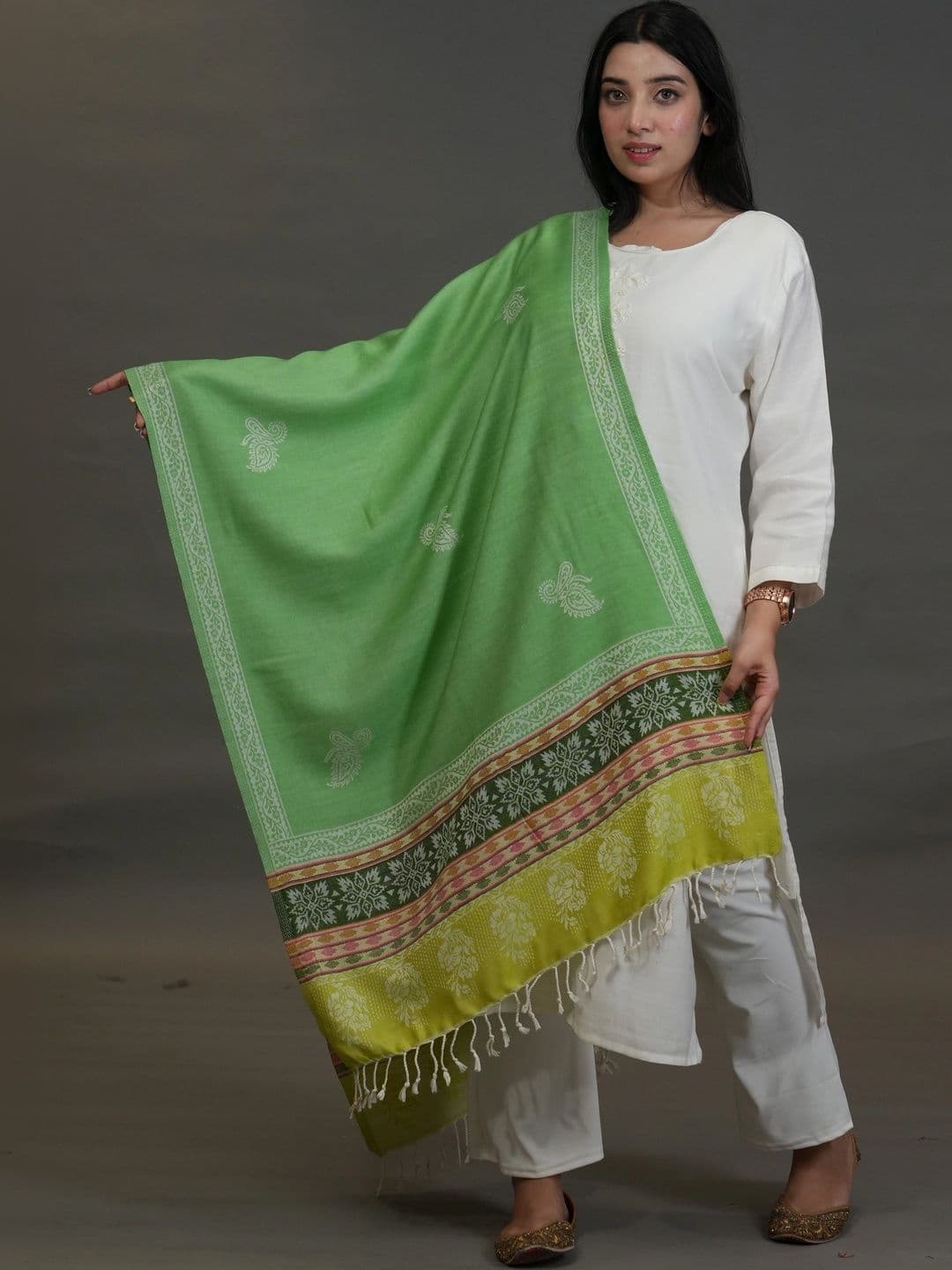 S.T. Women Paisley Embroidered Acrylic Shawl - view 1