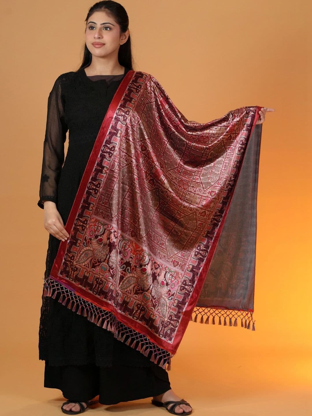 SHIFNEEN Women Ethnic Motifs Printed Velvet Shawl - view 1