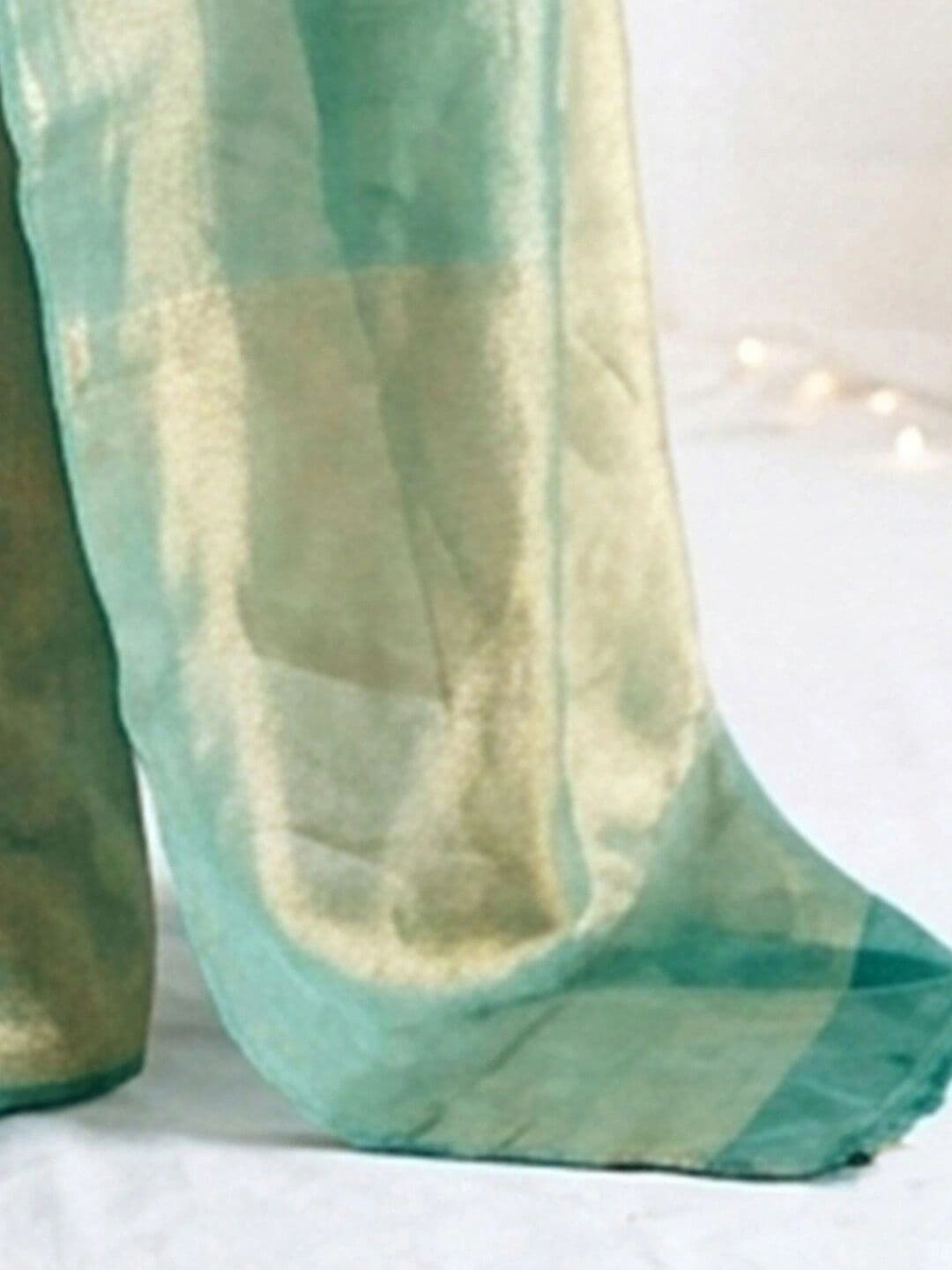 Satrani Embroidered Tissue Saree thumbnail 3
