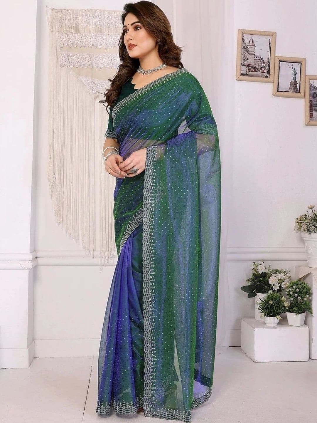RENBRIZA Ombre Net Saree thumbnail 6
