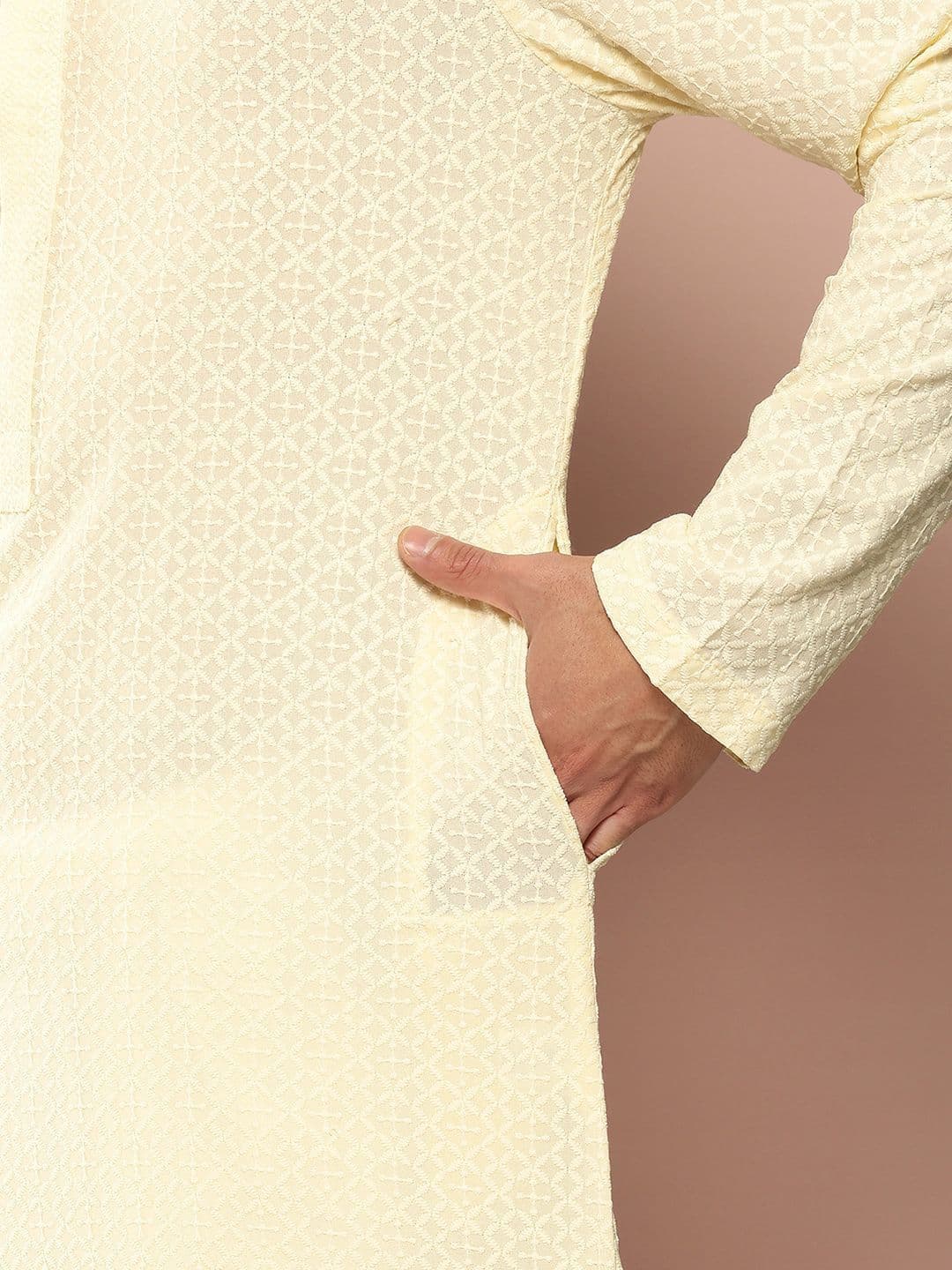 See Designs Mandarin Collar Geometric Chikankari Embroidered Straight Kurta thumbnail 5