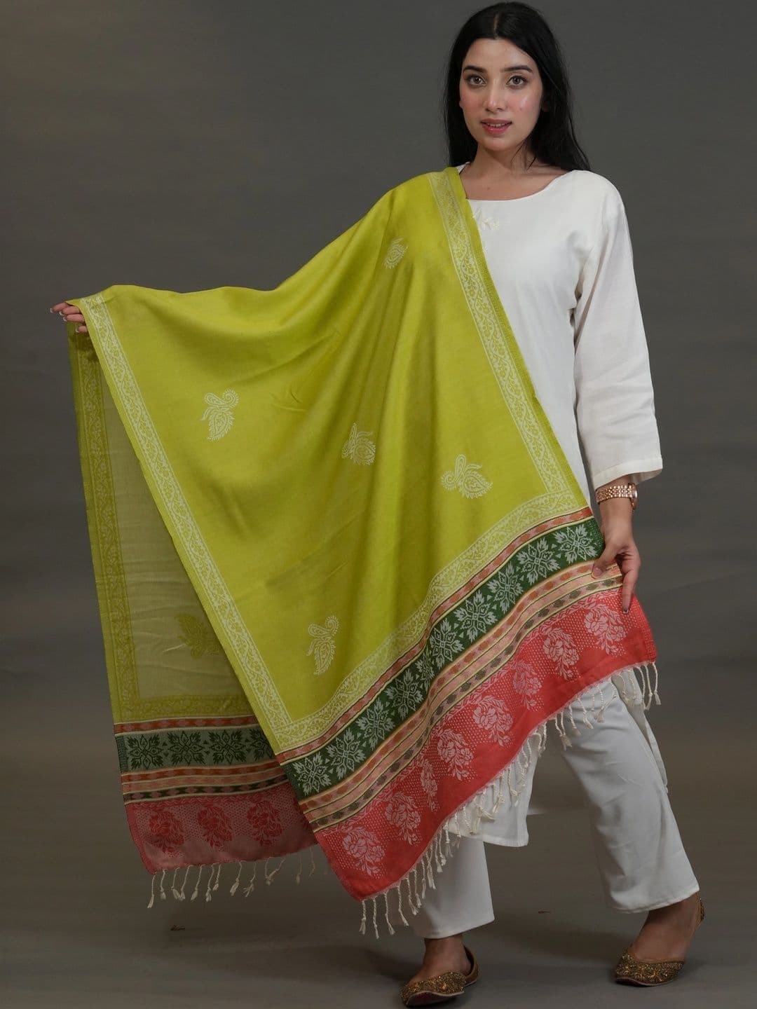 SHIFNEEN Women Ethnic Motifs Printed Acrylic Shawl - view 1
