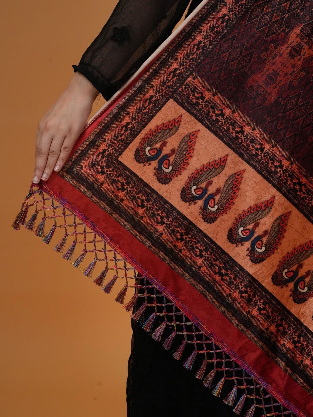 SHIFNEEN Women Ethnic Motifs Printed Velvet Shawl thumbnail 2