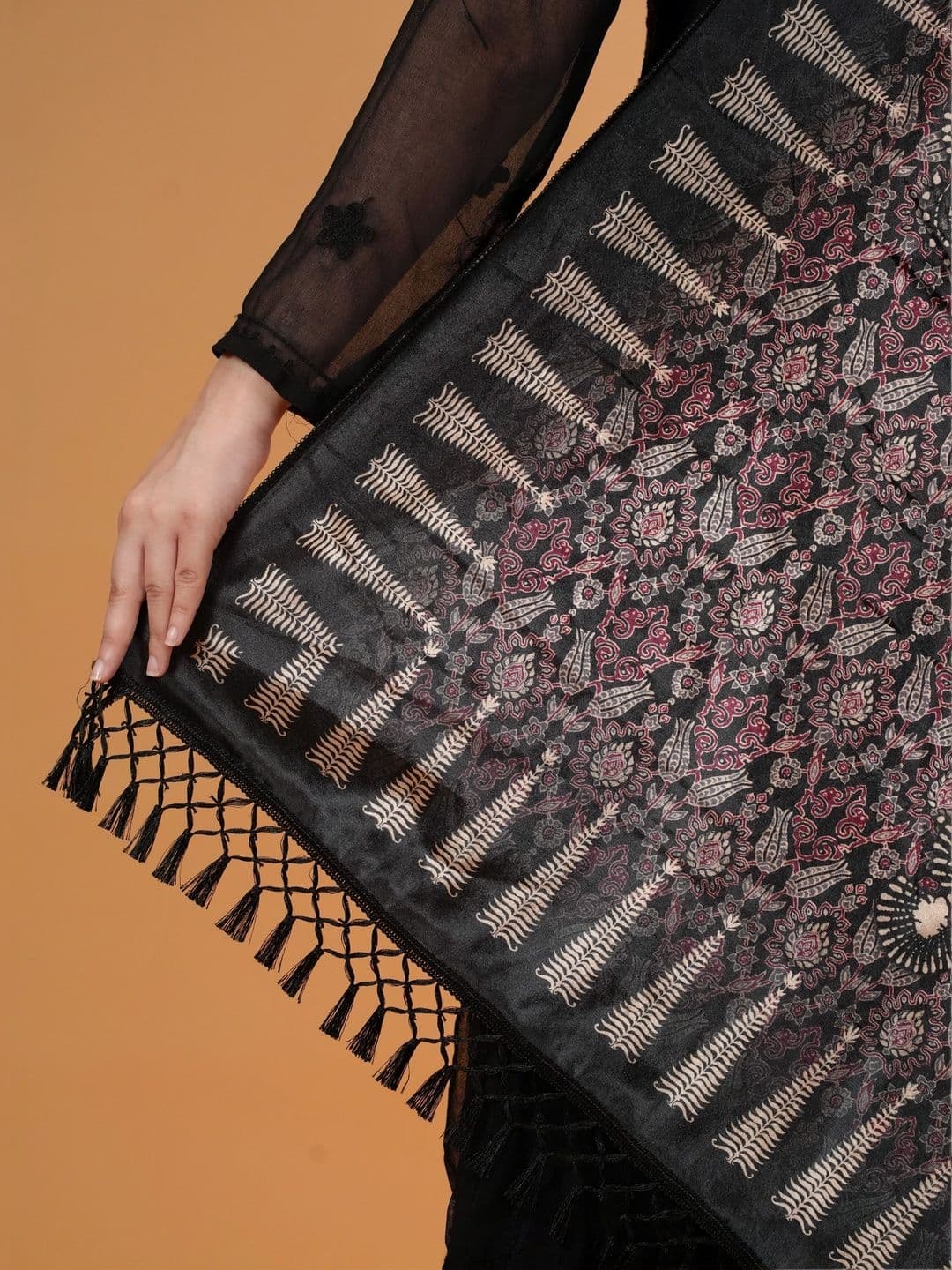 SHIFNEEN Women Ethnic Motifs Printed Velvet Shawl thumbnail 3