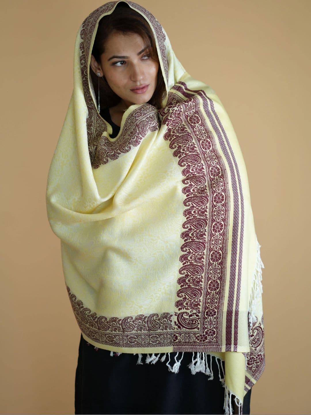 SHIFNEEN Women Ethnic Motifs Woven Design Acrylic Shawl thumbnail 4