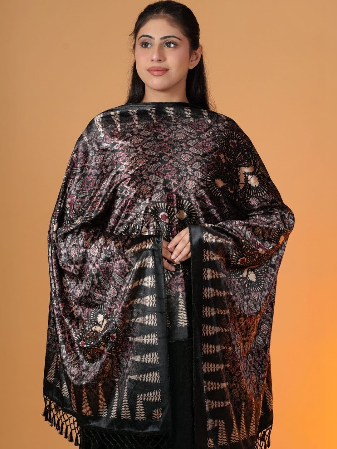 SHIFNEEN Women Ethnic Motifs Printed Velvet Shawl thumbnail 2