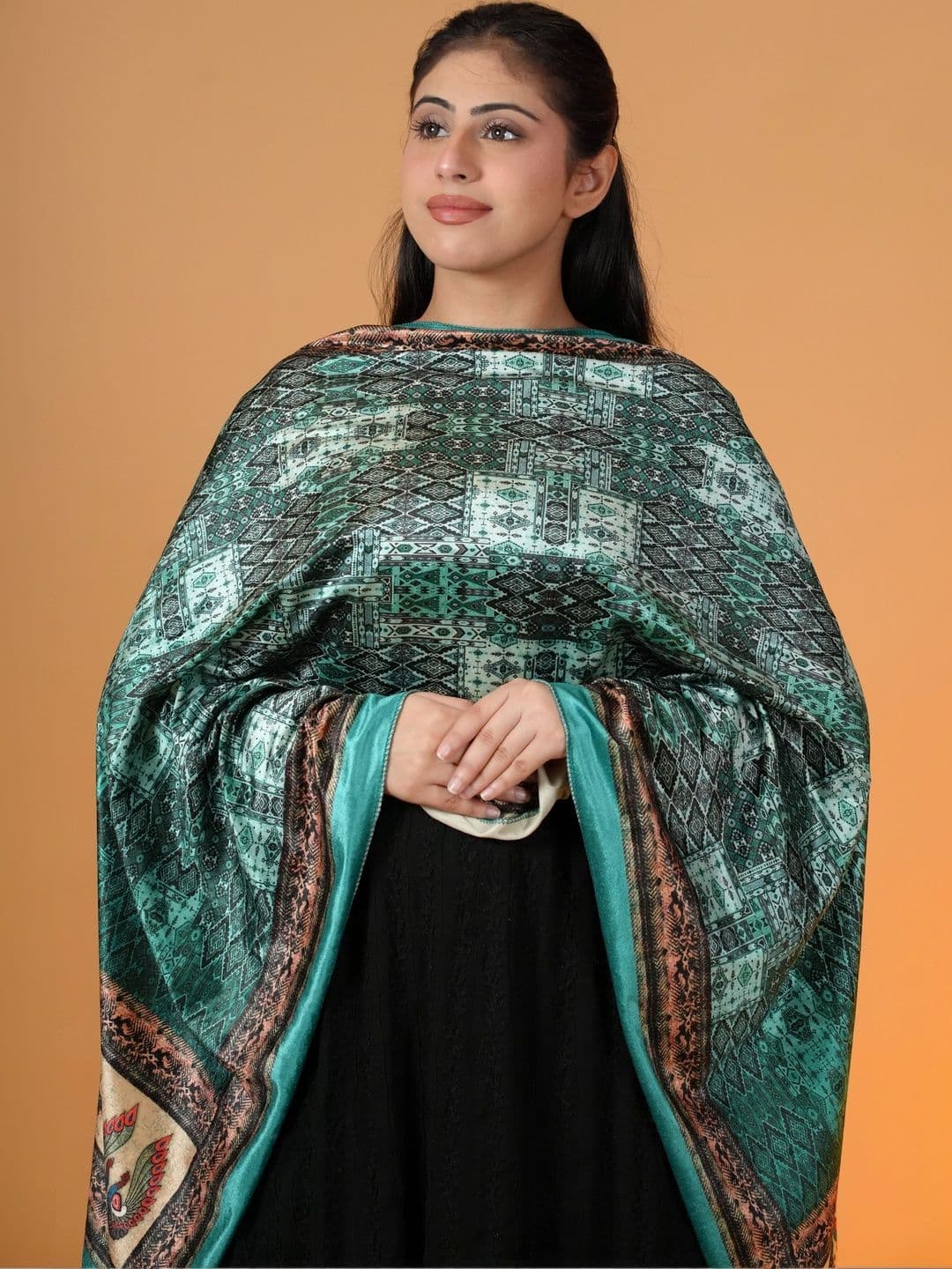 SHIFNEEN Women Ethnic Motifs Printed Velvet Shawl thumbnail 2