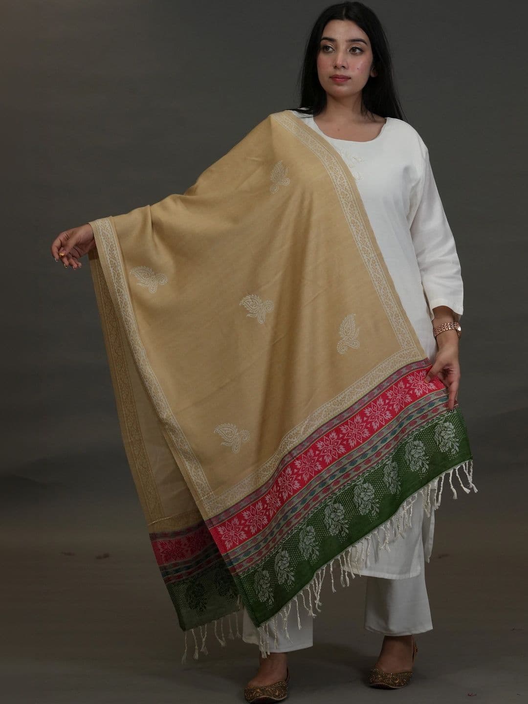 SHIFNEEN Women Ethnic Motifs Embroidered Acrylic Shawl - view 1