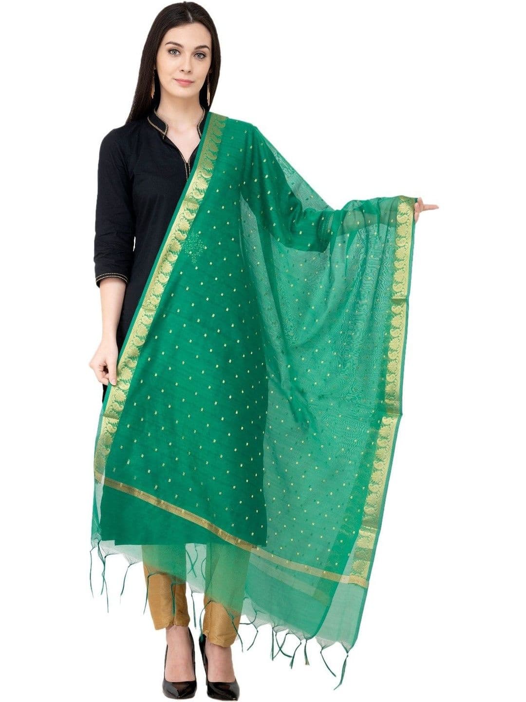 A R SILK Embroidered Dupatta with Zari - view 1