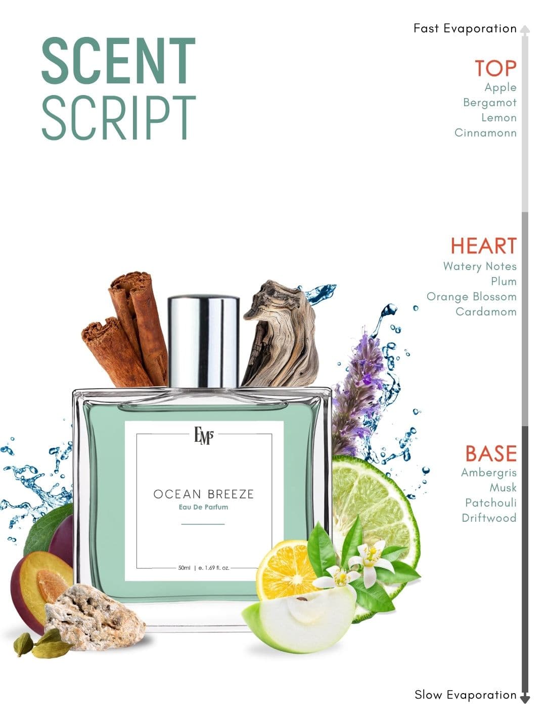 EM5 Ocean Breeze Strong & Long Lasting Eau De Parfum - 50 ml thumbnail 2
