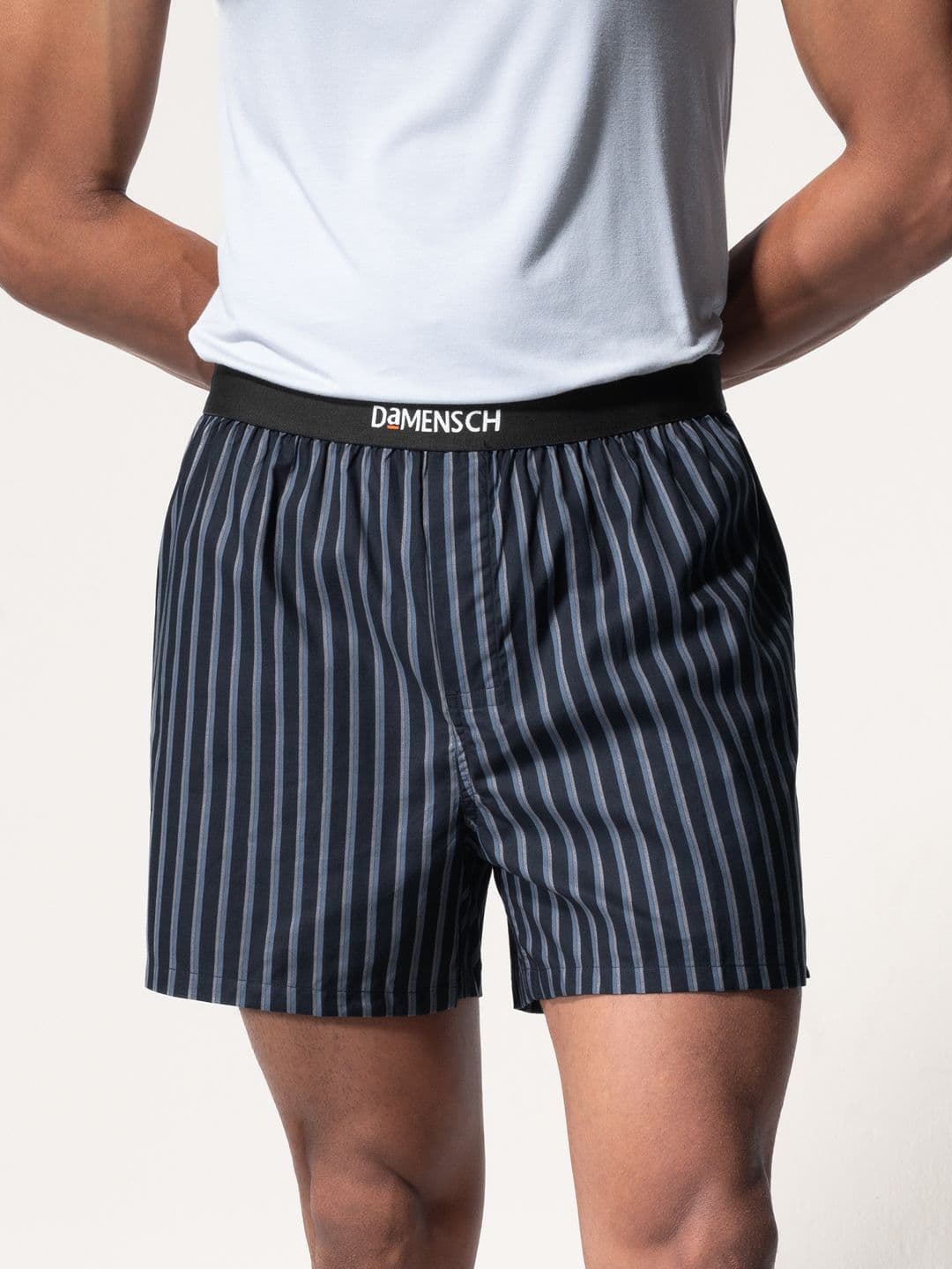 DAMENSCH Men Striped Ultra-Light Cotton Regular Fit Inner Boxer