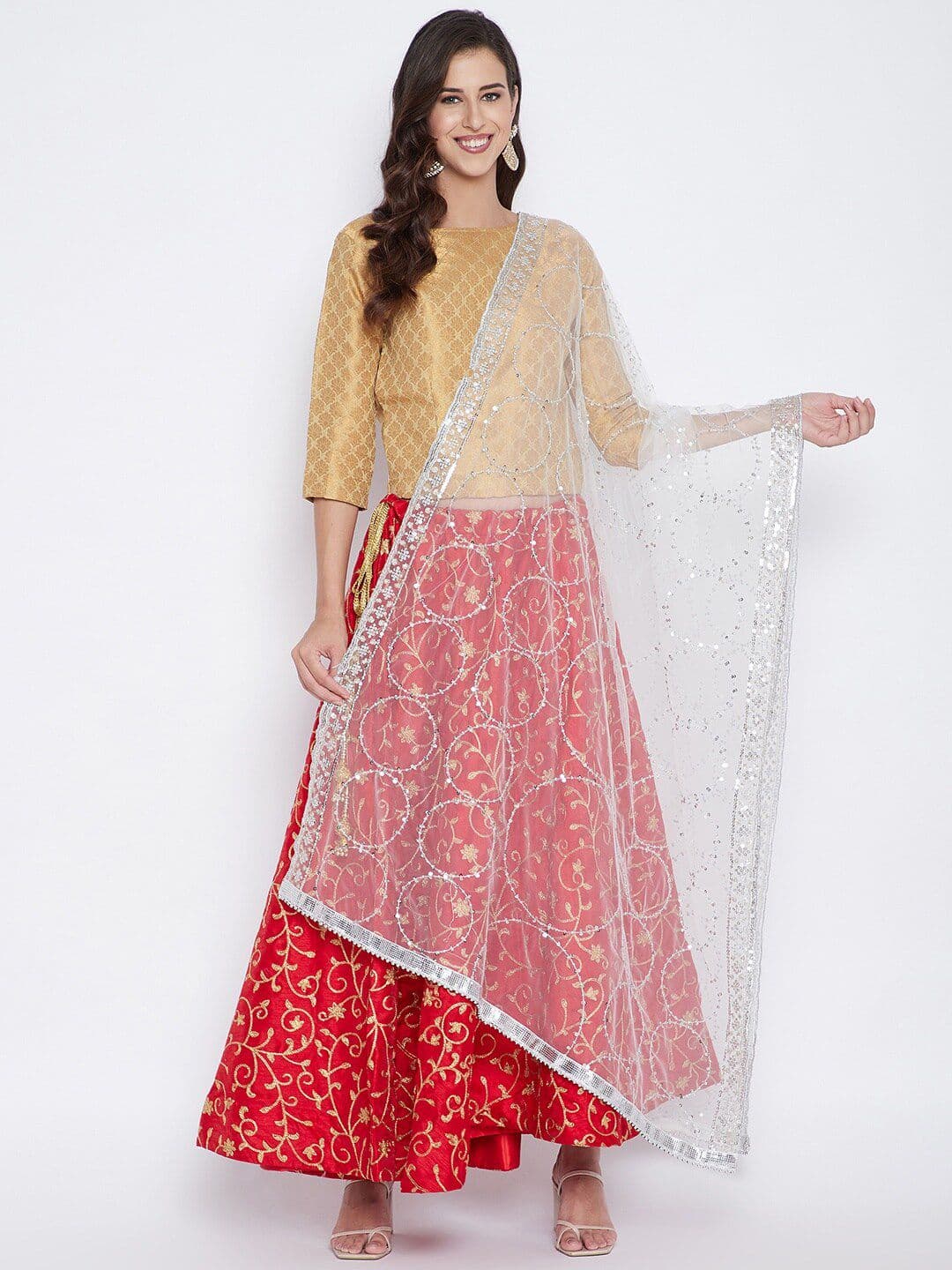 Clora Creation White & Silver-Coloured Embroidered Dupatta with Sequinned - view 1