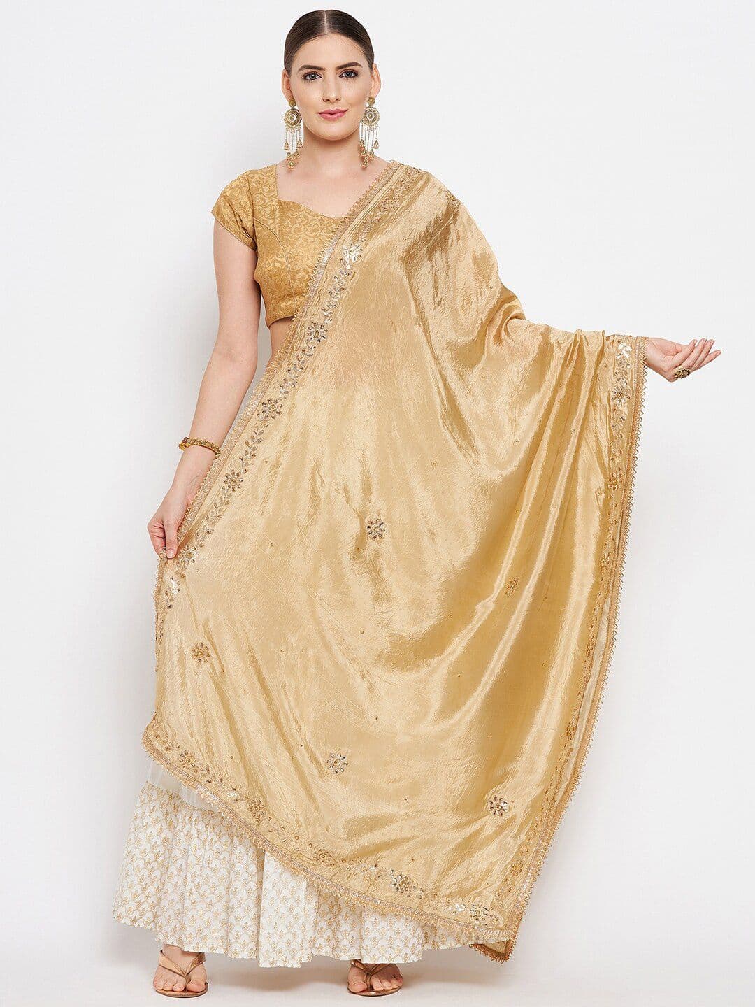 Clora Creation Gold-Toned Ethnic Motifs Embroidered Dupatta - view 1