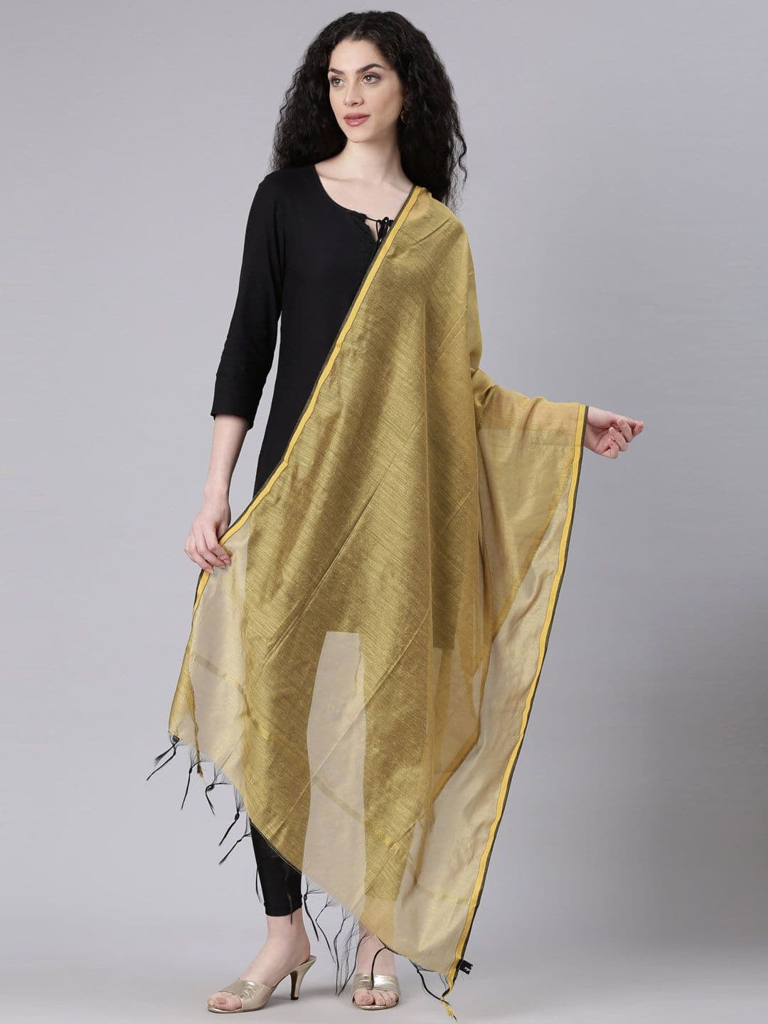 Souchii Zari Tasselled Border Dupatta - view 1