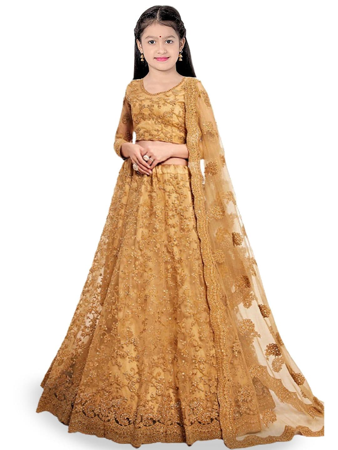 BAESD Girls Embroidered Semi-Stitched Lehenga & Unstitched Blouse With Dupatta - view 1