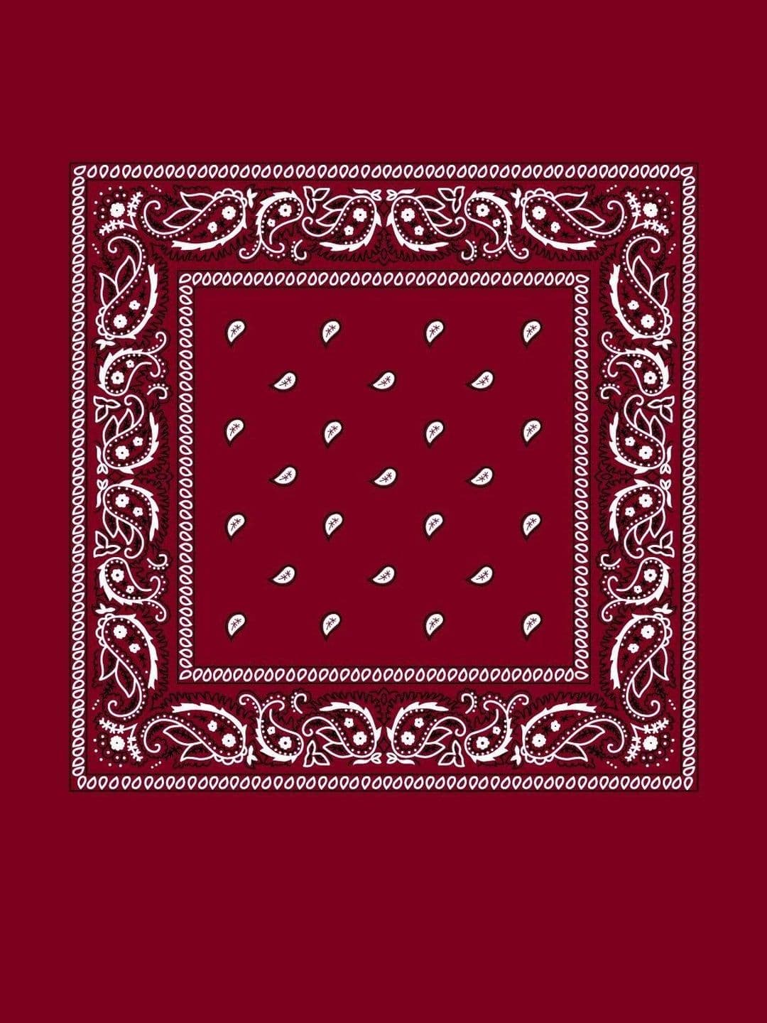 Navkar Crafts Unisex Paisley Bandana Headband - view 1