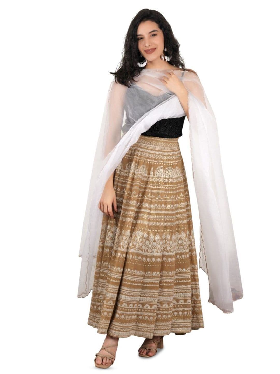 A R SILK DUPATTA HUB Organza Dupatta With Sequinned - view 1