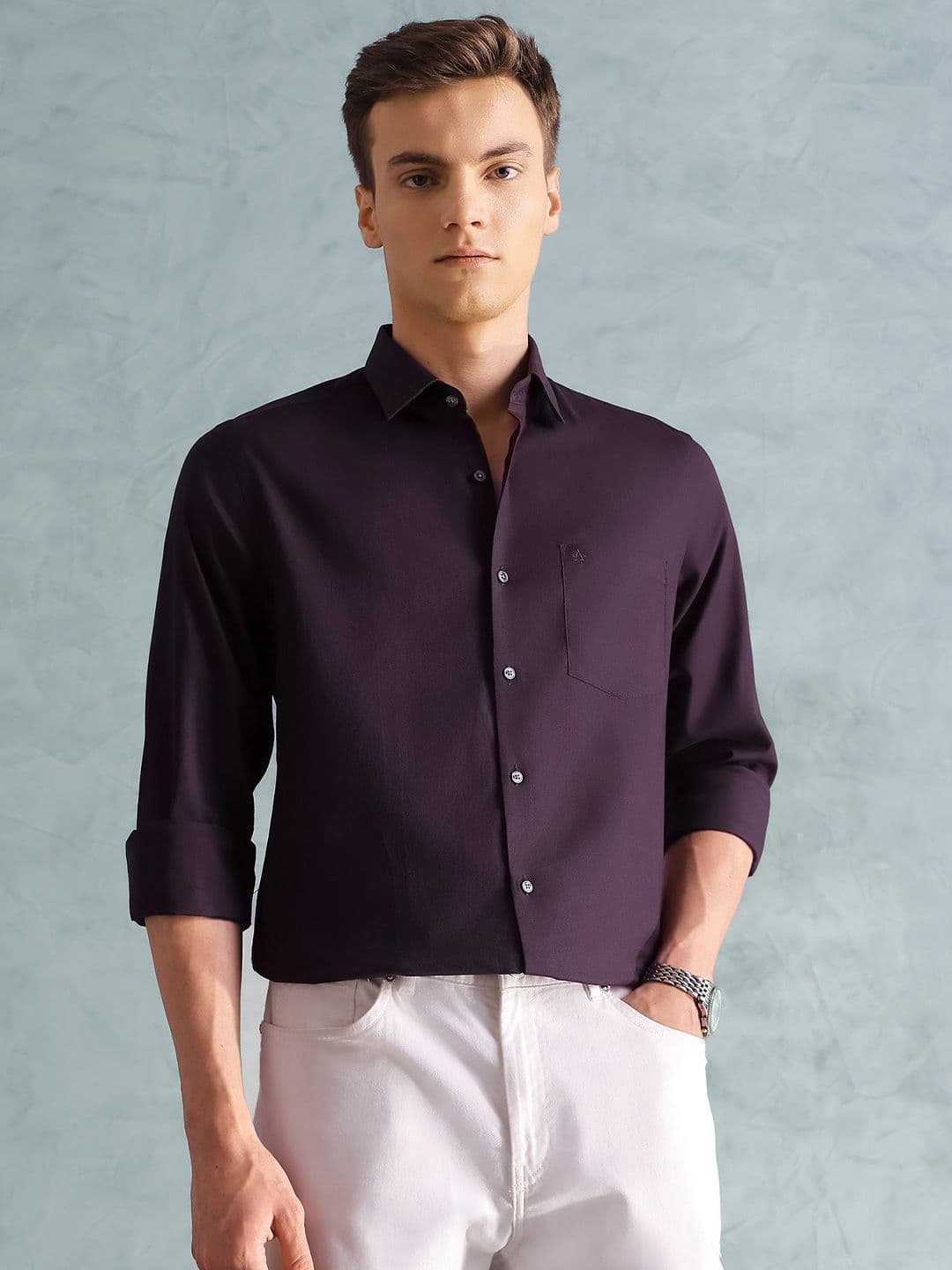 Arrow Slim Fit Spread Collar Long Sleeves Pure Cotton Formal Shirt - view 1
