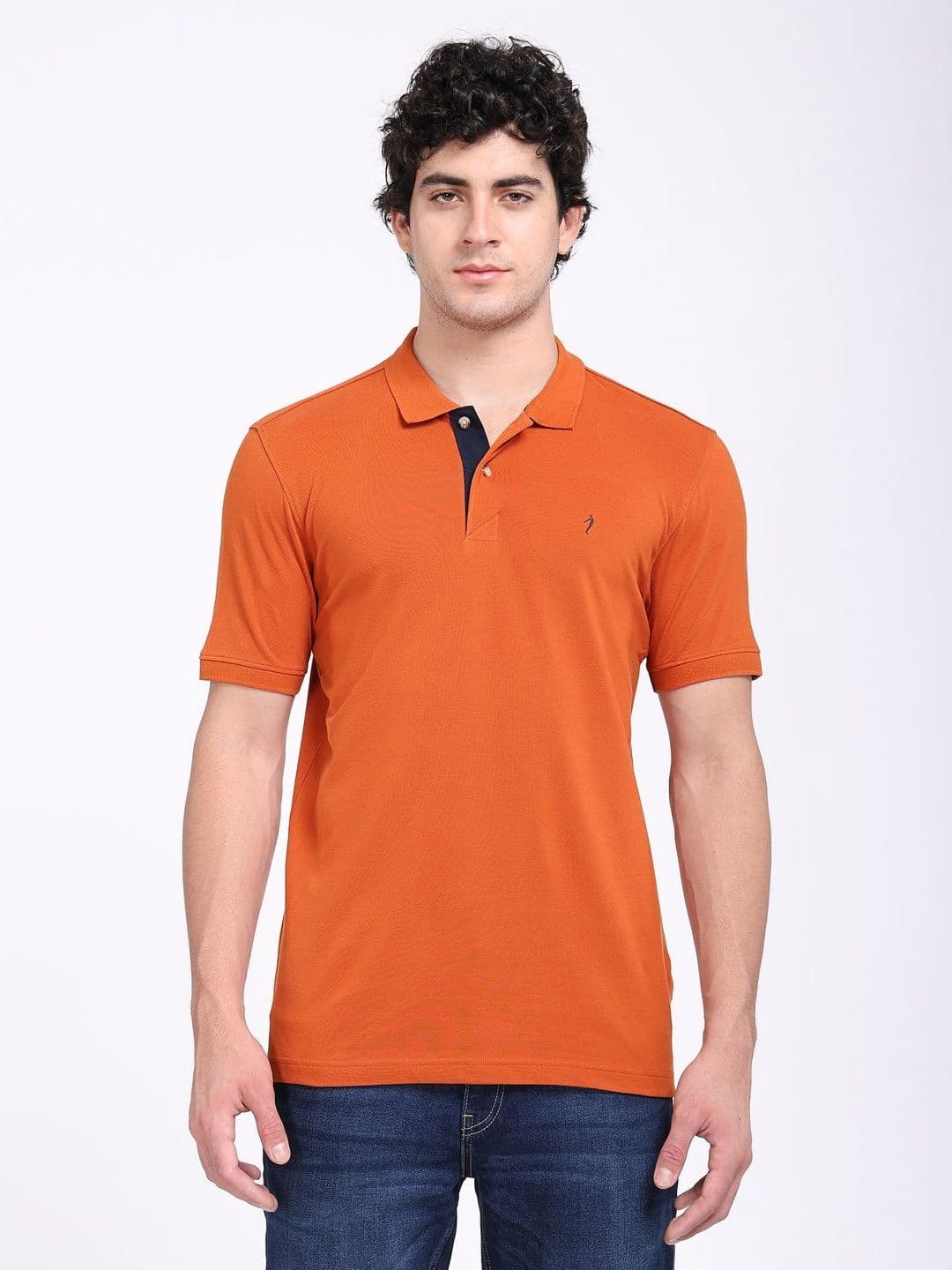 Indian Terrain Polo Collar Short Sleeves Regular Fit T-Shirt - view 1
