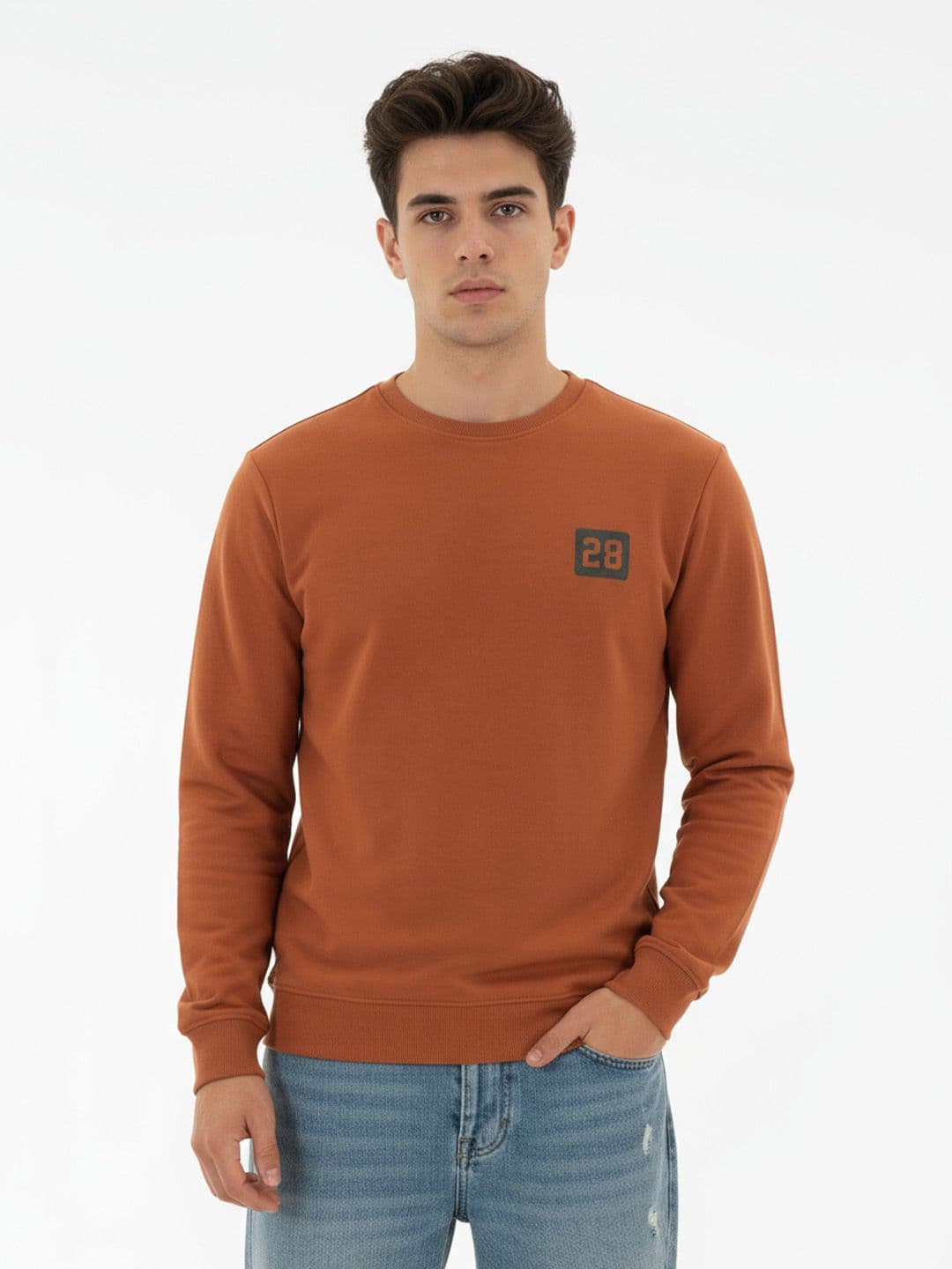 glitchez Round Neck Regular Fit Terry Sweatshirt - view 1
