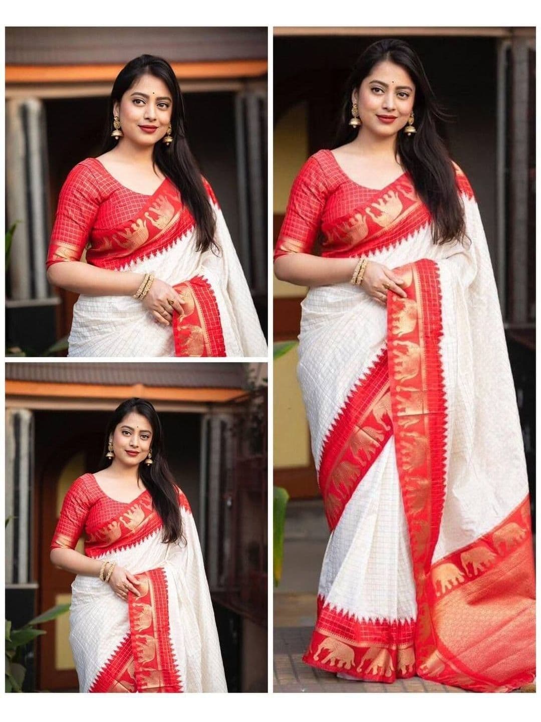 Vidula Fashion Checked Zari Banarasi Saree - view 1