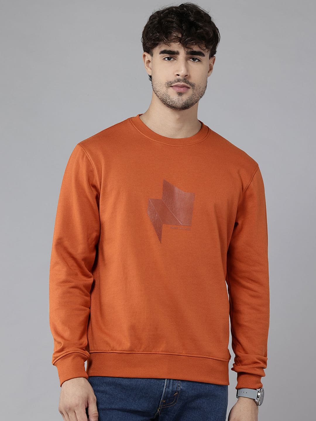 Park Avenue Chevron Printed Round Neck Pullover - view 1