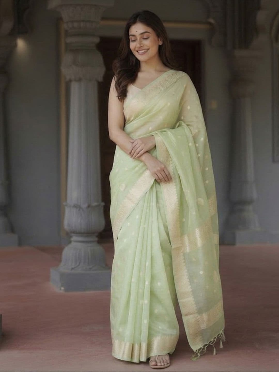 BAFNA MENS WEAR Ethnic Motifs Woven Design Saree - view 1