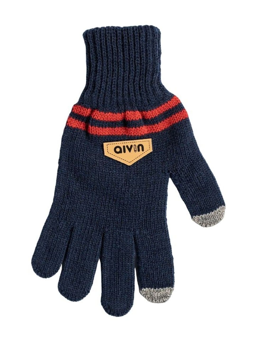 Aivin Swift Mobile Touch Winter Gloves - Blue - view 1