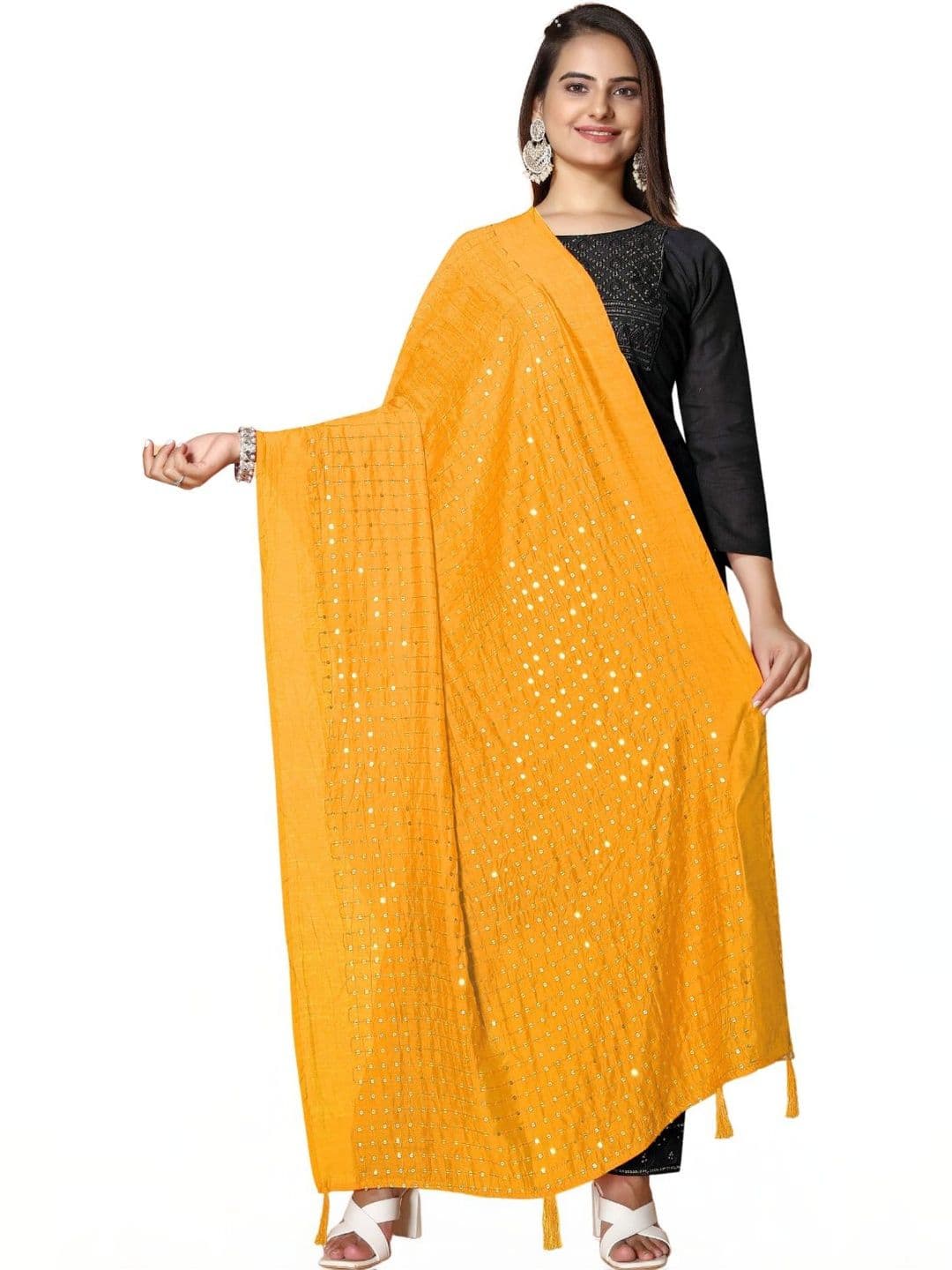 SEKMANY Embroidered Dupatta with Mirror Work - view 1