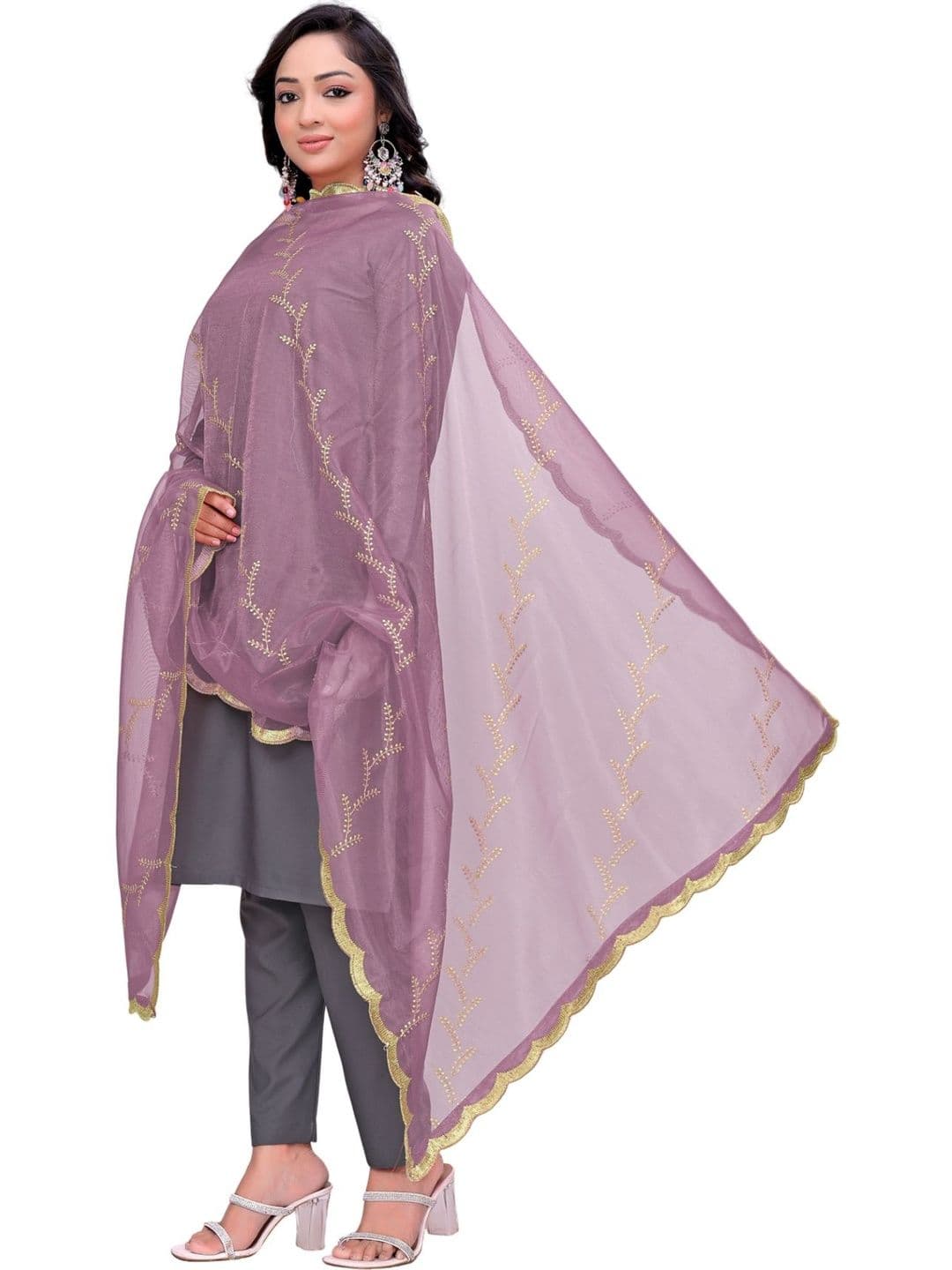 SEKMANY Ethnic Motifs Embroidered Organza Dupatta with Sequinned - view 1