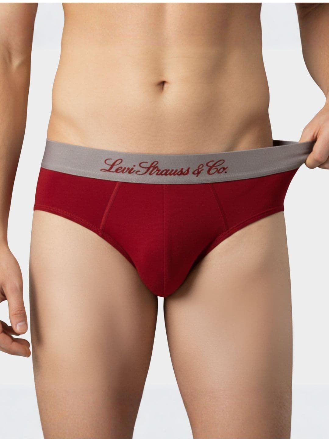 Levis Men Cotton 4-Way Stretch Outer Elastic Waistband Elite Heritage Brief 073 - view 1