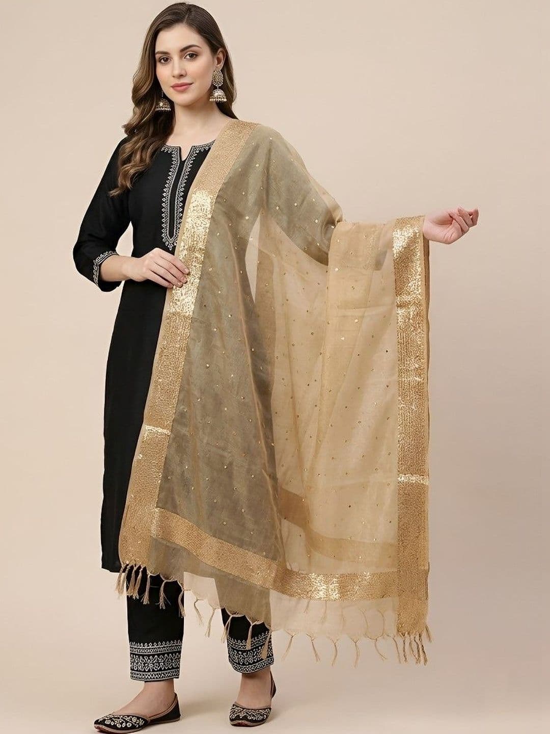 MUFFLY Ethnic Motifs Woven Design Organza Dupatta - view 1