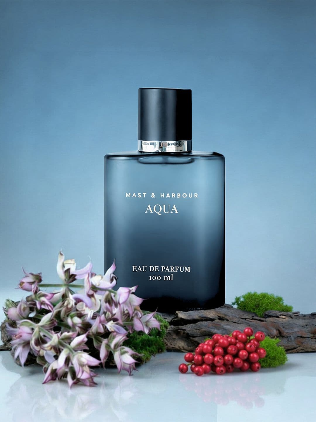 Mast & Harbour Men Aqua Eau De Parfum 100 ml