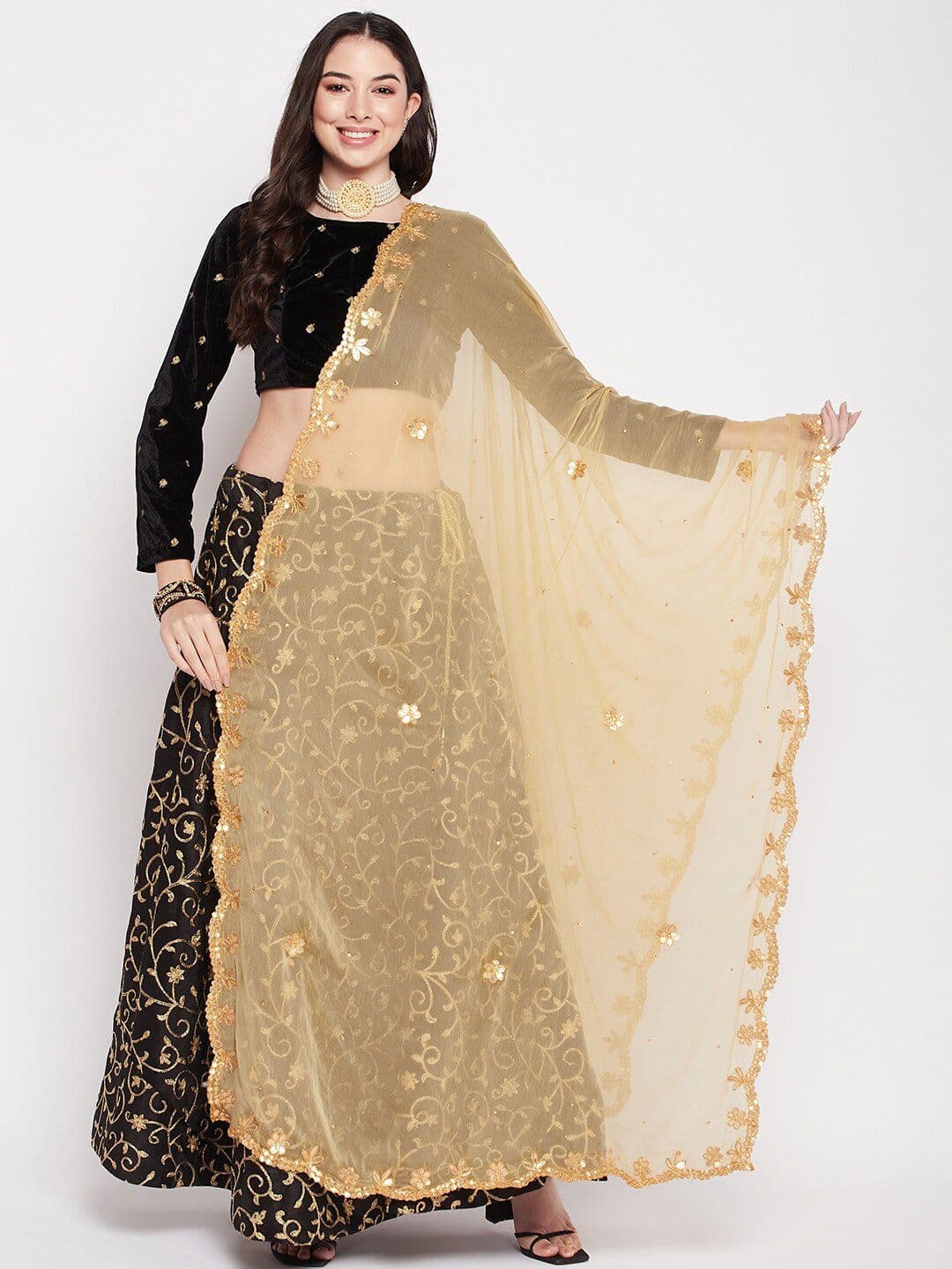Clora Creation Floral Embroidered Dupatta With Gotta Patti - view 1