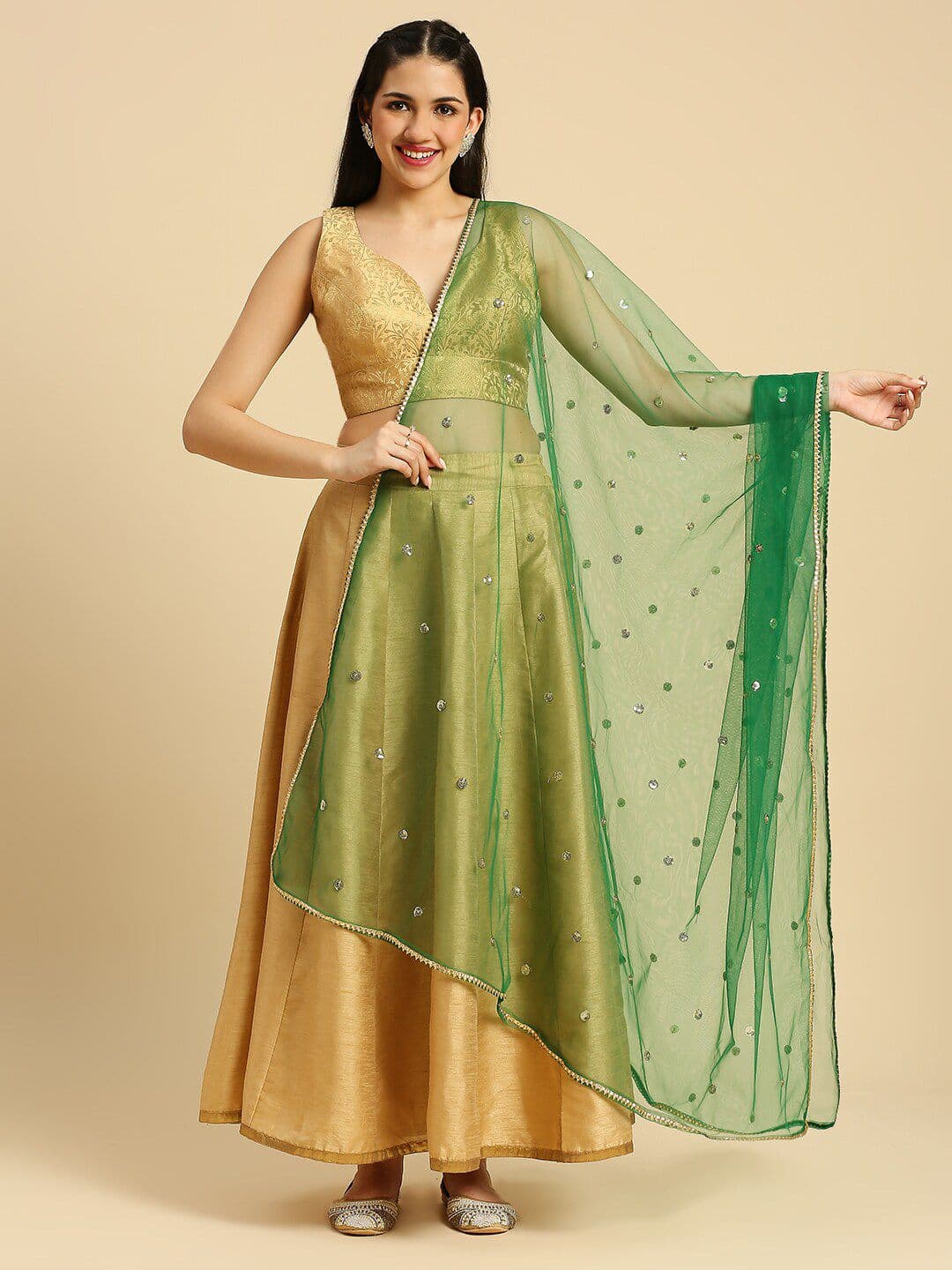 Dupatta Bazaar Embellished Sequinned Net Dupatta - view 1