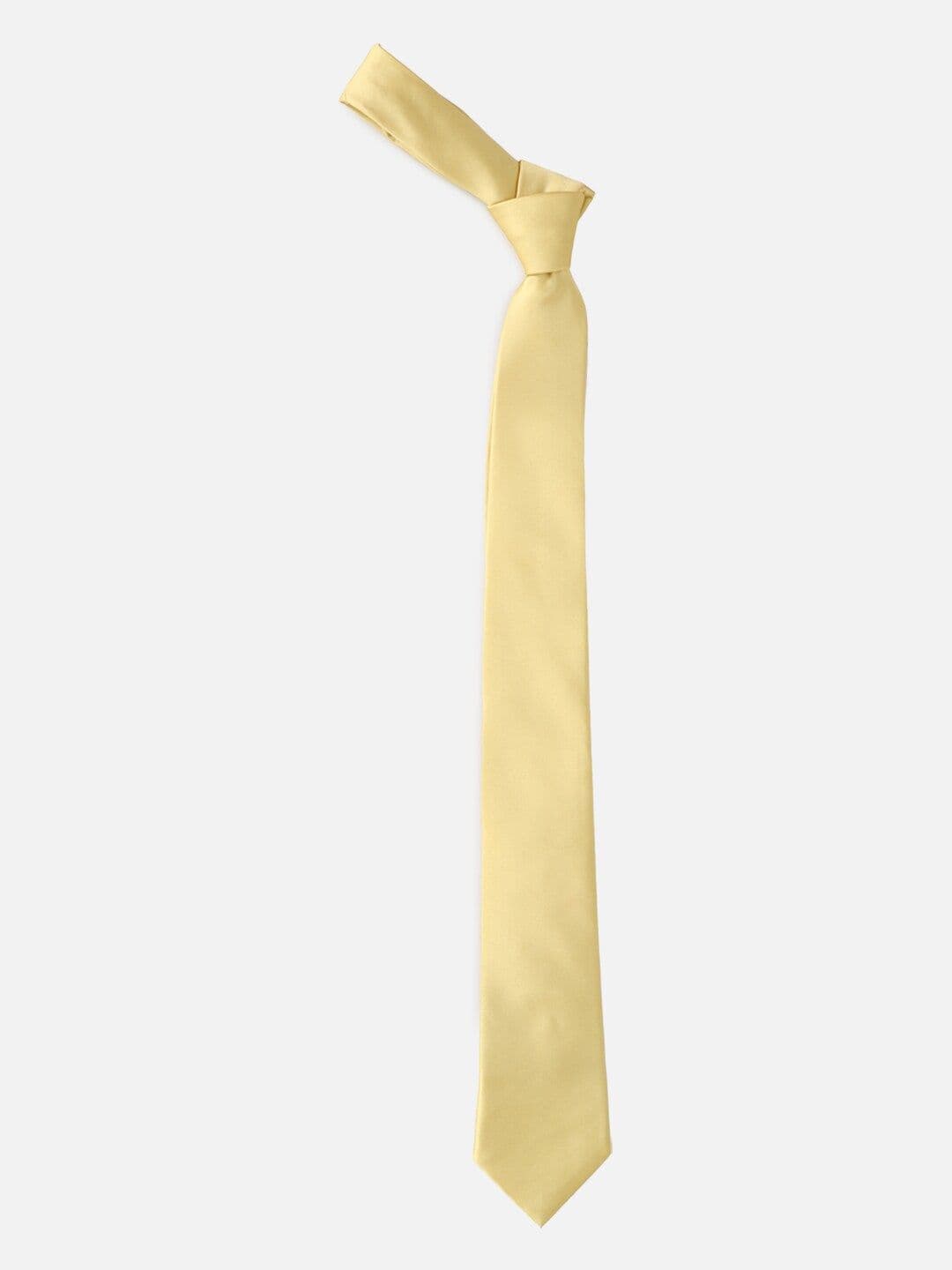 Allen Solly Formal Broad Tie - view 1