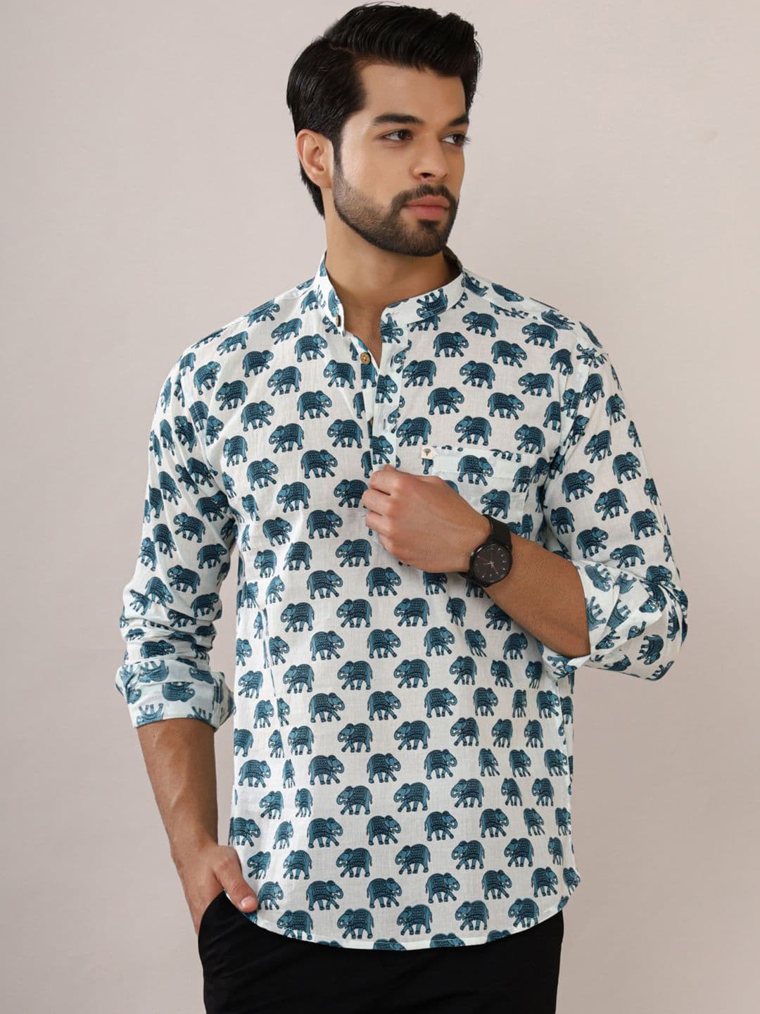 Hues Fab Mandarin Collar Ethnic Motifs Printed Cotton Kurta - view 1