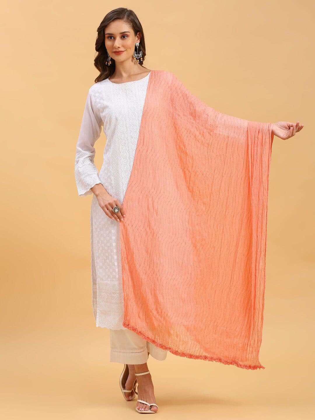 Dupatta Bazaar Embroidered Chiffon Dupatta - view 1