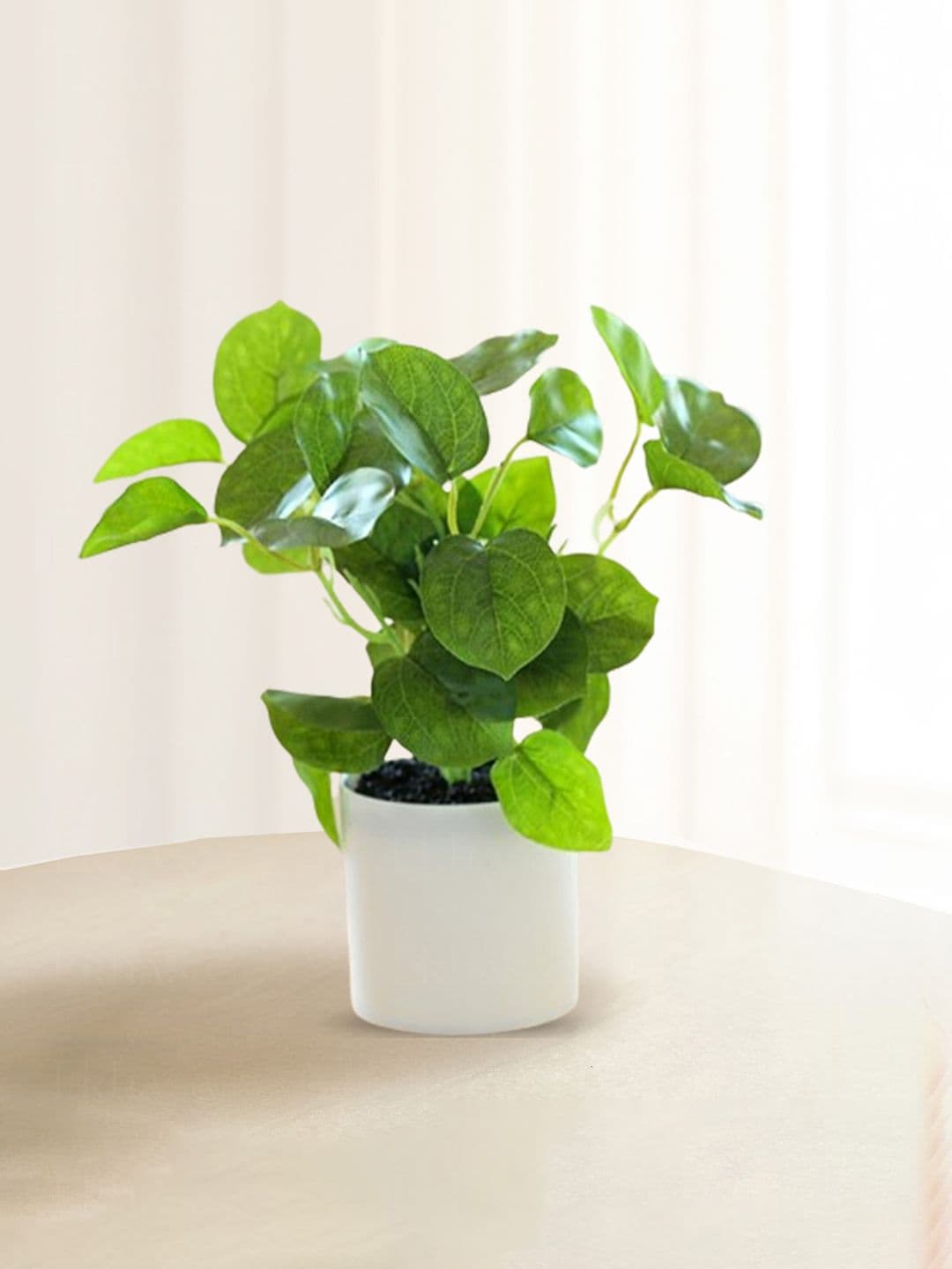 Nostrae by Ekhasa Green 1 Pieces Fig Artificial Plant With Pot - view 1